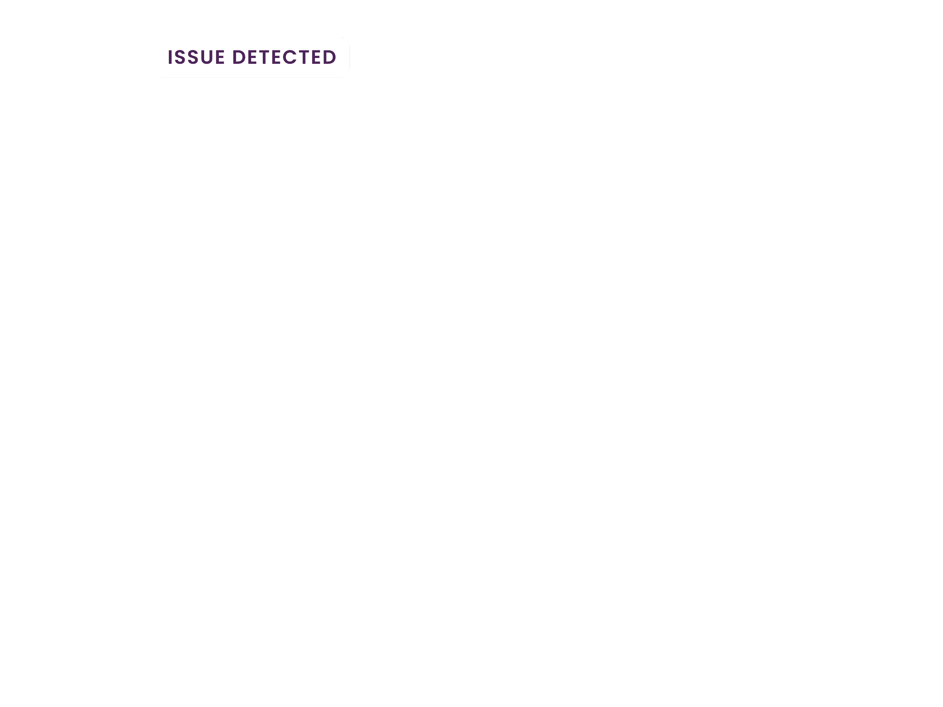 Video analytics frame with issue detected label